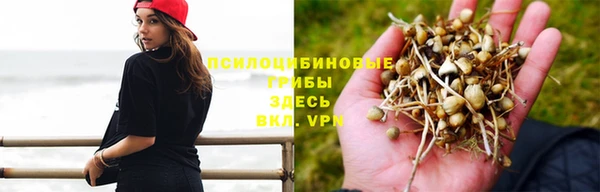 Альфа ПВП Лихославль