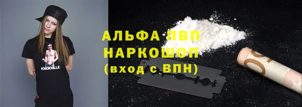 спайс Ладушкин