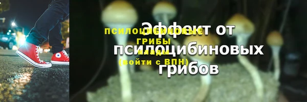 скорость Лагань