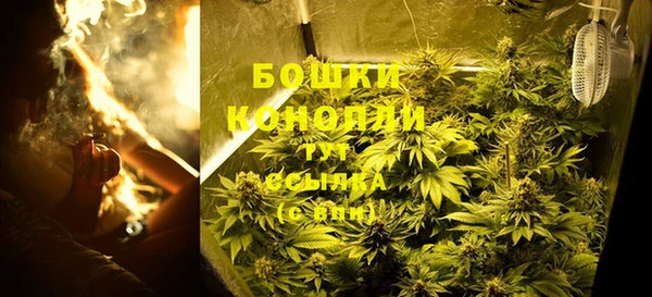 спайс Ладушкин