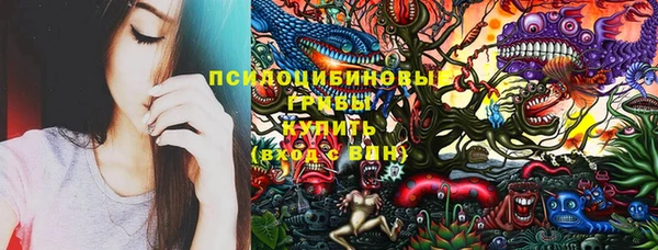спайс Ладушкин