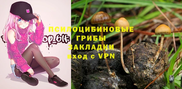 спайс Ладушкин