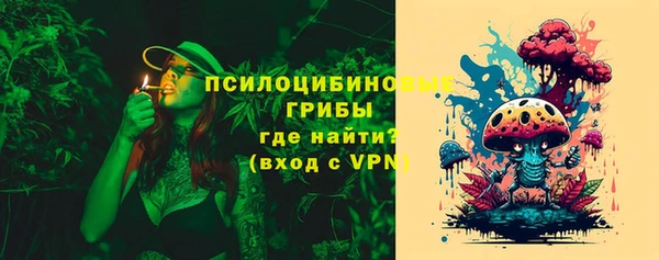 спайс Ладушкин