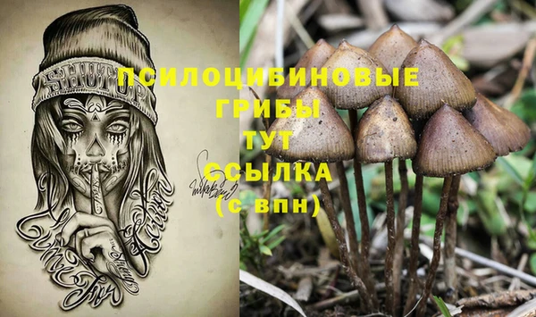 скорость Лагань