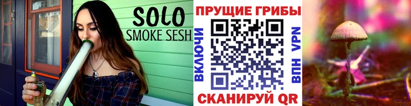 Псилоцибиновые грибы GOLDEN TEACHER  маркетплейс Telegram  Куртамыш  MEGA  